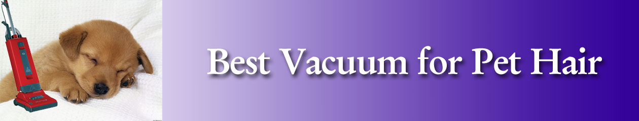 Best Vacuum for Pet Hair